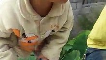 Small kids smoking cigarette