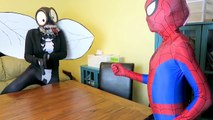 Spiderman vs Joker vs Pink Spidergirl - SUPER Crazy Gymnastics! w/ Venom Fly! - Funny Superheroes