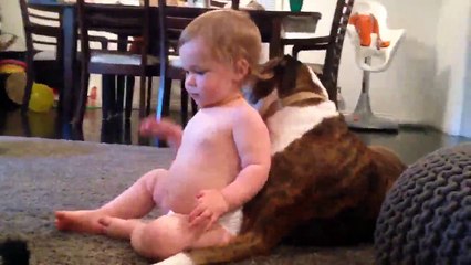 Bebeği Temizleyen Sevimli Köpek