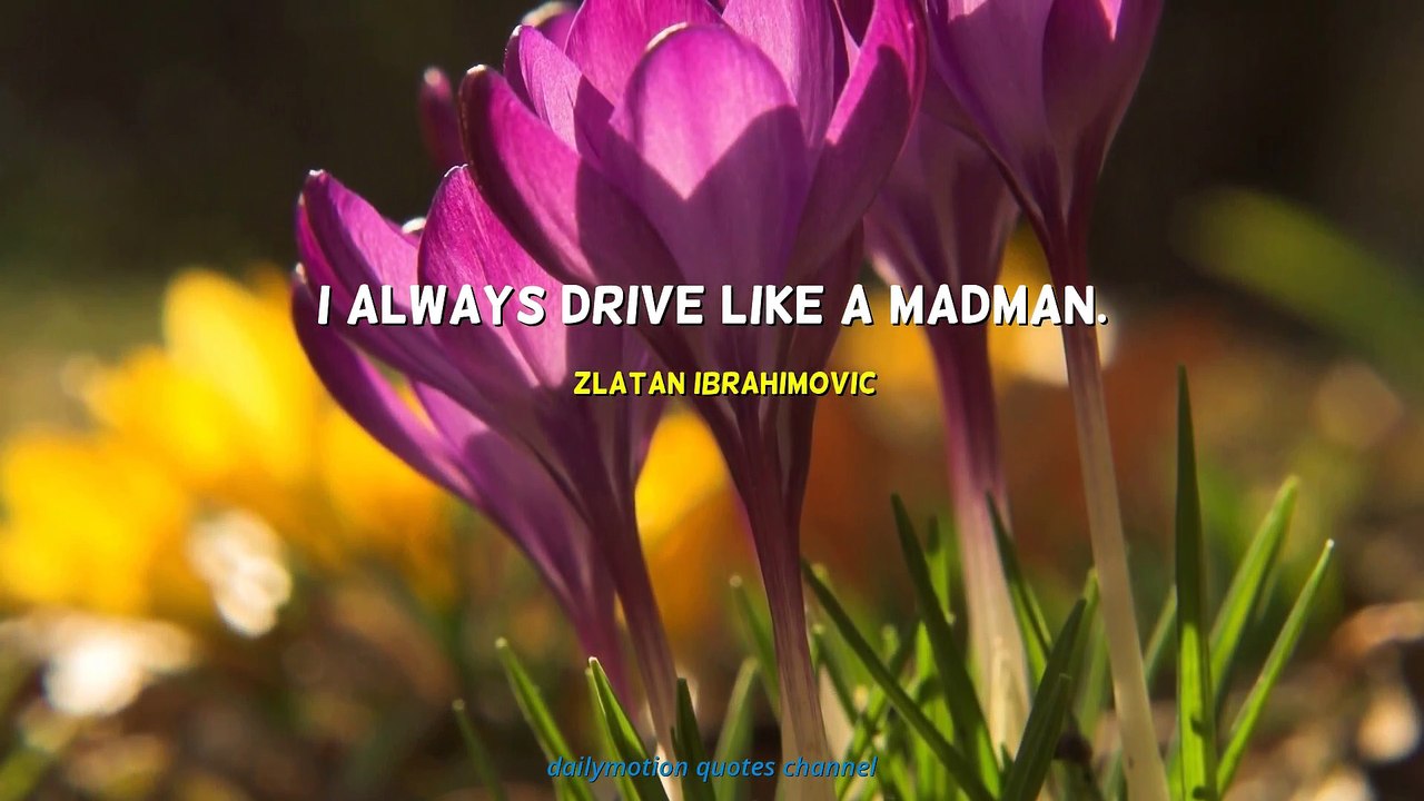 Zlatan Ibrahimovic Quotes #1