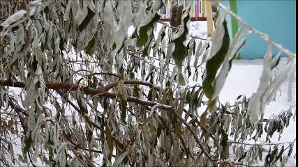Ледяной дождь в Москве 11.11.2016