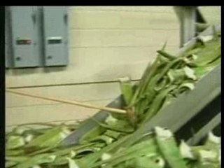 Présentation Forever Living Products