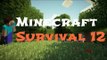 Minecraft Survival Day 6 Night Time Stone, Stone and More Stone