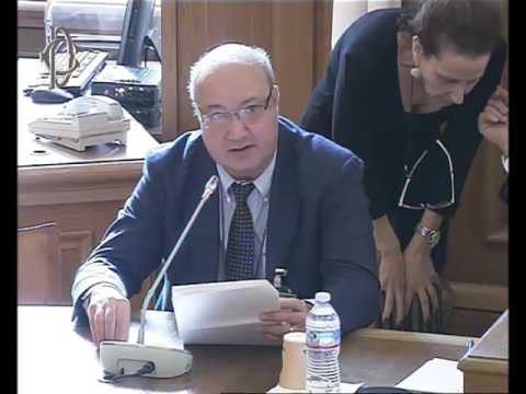 Roma - Crisi d'impresa e insolvenza, audizione esperti (11.11.16)