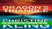 Read Now Dragon s Triangle (The Shipwreck Adventures Book 2) Download Online