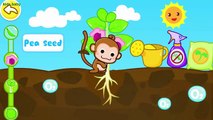 Magical Seeds by BabyBus | Learn the Plant Growth Cycle & How Seeds Travel