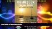 Buy NOW  Gumusluk Travel Guide: Bodrum s Silver Lining: Step Off the Beaten Path with this