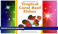 Ebook deals  Handy Pocket Guide to Tropical Coral Reef Fishes (Handy Pocket Guides)  Buy Now