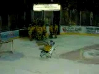 Nottingham Panthers Goalie