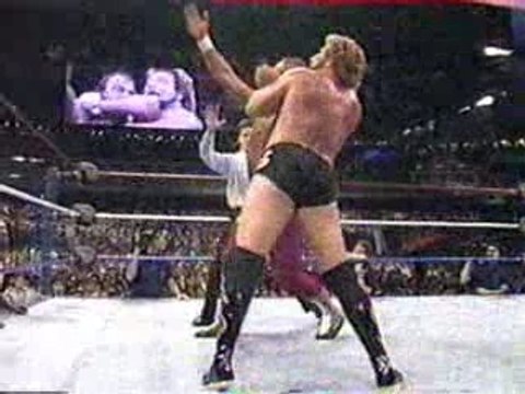 WWF Wrestlemania VI - Jake The Snake Roberts vs Ted DiBiase