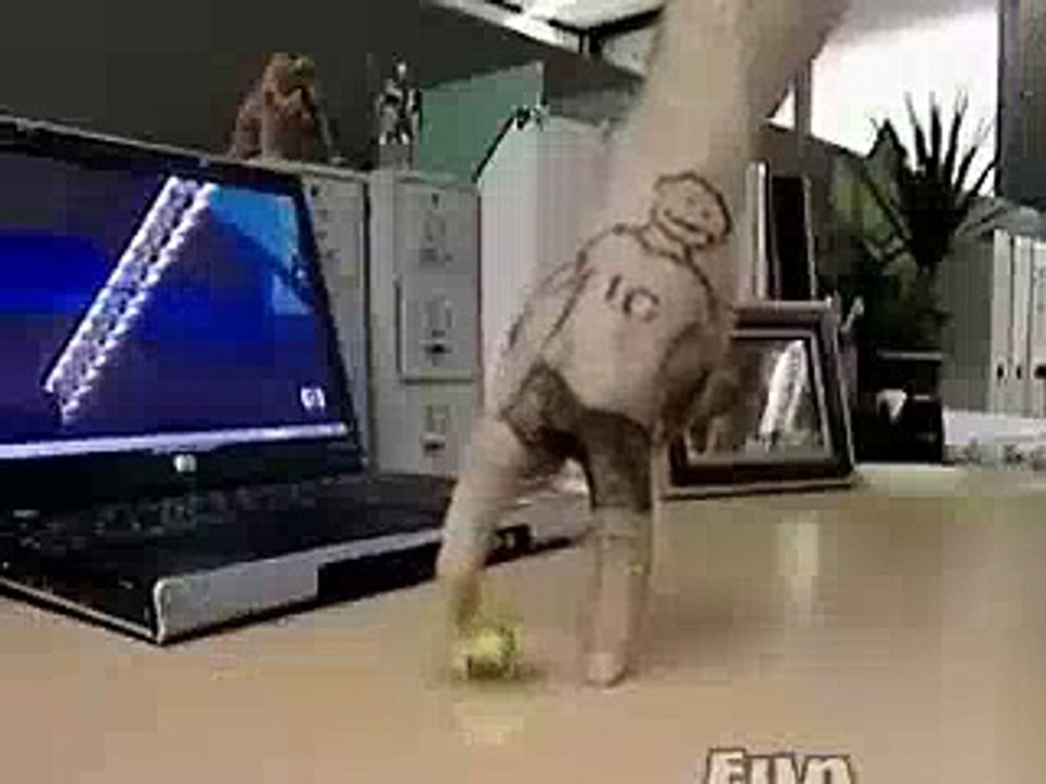 Awesome_Talent_-_Must_Watch(videomasti.com)