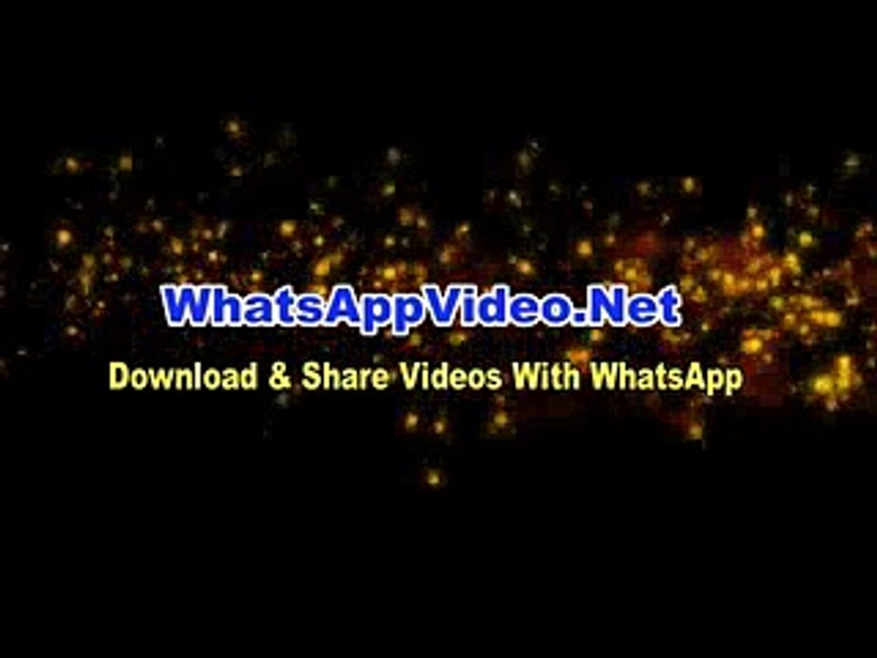 Funny_Cat_Must_Watch(videomasti.com)