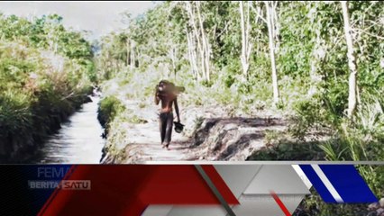 Promo Female Zone: Dokter yang Merawat Hutan