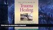 READ BOOK  The Little Book of Trauma Healing: When Violence Strikes and Community Is Threatened