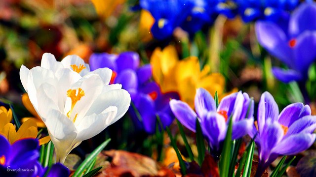 Postavme sa už dnes pod kríž