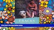 Ebook Best Deals  Tracks: A Woman s Solo Trek Across 1700 Miles of Australian Outback  Full Ebook