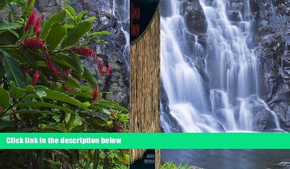 Big Deals  The Gold of Troy: Searching for Homer s Fabled City  Best Buy Ever