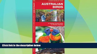 Buy NOW  Australian Birds: A Folding Pocket Guide to Familiar Species (Pocket Naturalist Guide