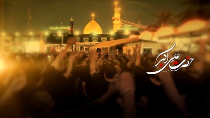 Teray Baghair Akbar (as) - Mir Hasan Mir - New Noha 2016-17