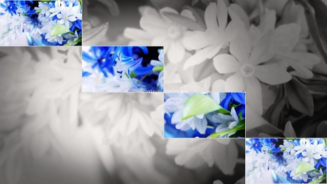 Ježiš nás chce uzdraviť od hriechu