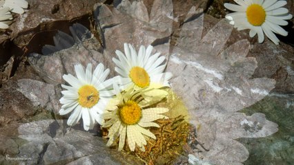 Čo bude rozhodujúce pred Božím súdom?