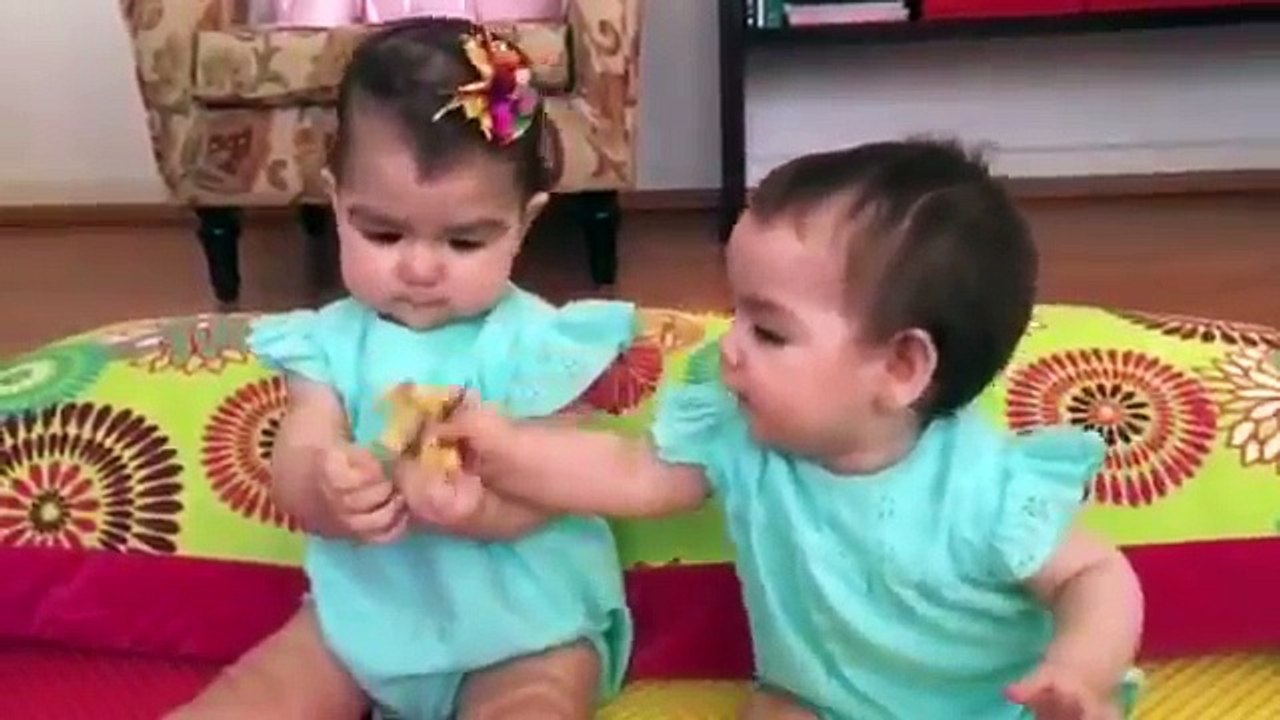 Twin baby girls big fight