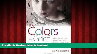 Buy book  The Colors of Grief: Understanding a Child s Journey through Loss from Birth to