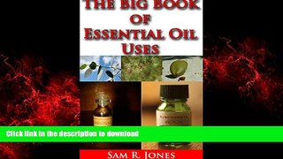 Best book  THE BIG BOOK OF ESSENTIAL OIL USES : OVER 600 NATURAL, NON-TOXIC   FRAGRANT RECIPES TO