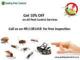 Get 10% OFF on pest control and termite treatment in Noida, Ghaziabad, Indirapuram and Dwarka-Contact Godrej Pest Contro