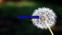 영통오피 (OPSS1 닷컴) 영통오피에스