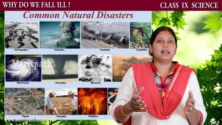 Class IX Science CBSE Introduction to  WHY DO WE FALL ILL