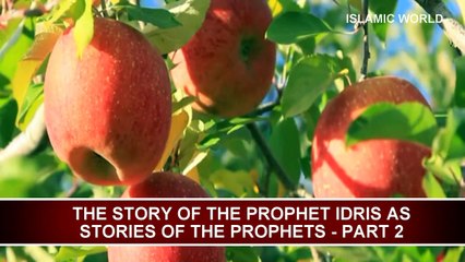IDRIS AS TRUE STORY - STORIES OF THE PROPHETS - QASAS UL ANBIYA IN URDU - PART 2
