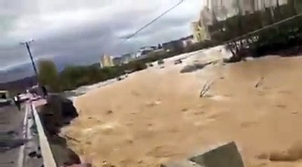 Mat Lumi Fan: The Inspiring Journey