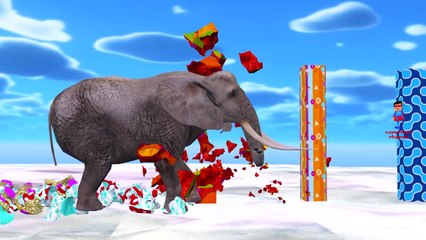 Finger Family Rhymes - Elephant And Crocodile Cartoons Singing Finger Family Children Nursery Rhymes
