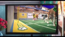 THE SECRET LIFE OF PETS Promo Clip - Puppy Bowl (2016) Animated Comedy Movie HD