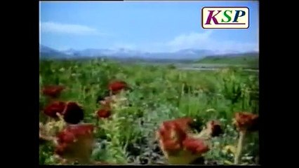 Historical places in Islam,Bangla(1 of 20)