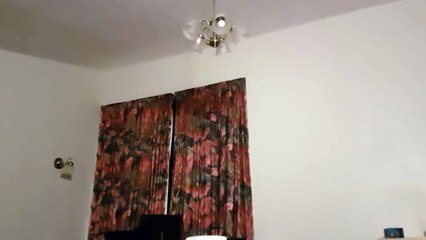 VIDEO: Terremoto de 7.8 grados sacude Nueva Zelanda