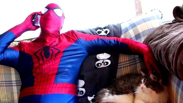 Spiderman vs Catwoman vs Batman in Real Life! Catwoman Kidnaps Batman - Fun Superhero Movie ׃)