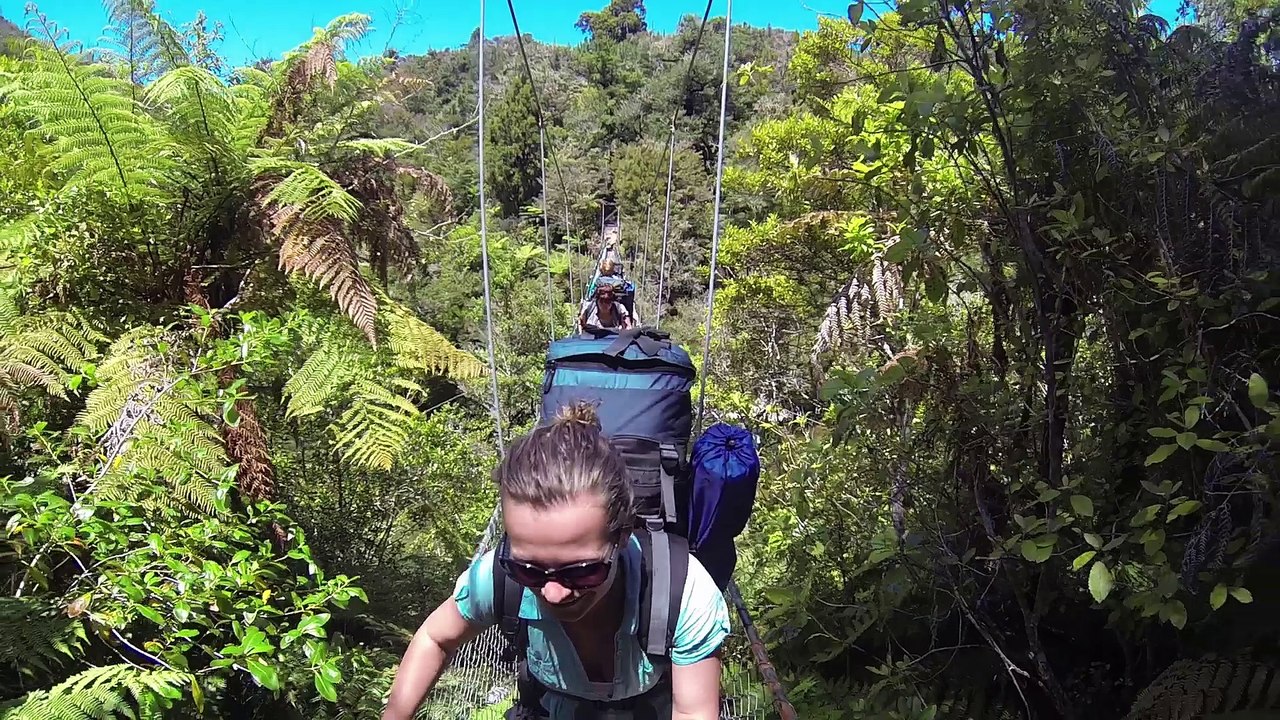 New Zealand - Abel Tasman - Christmas Time