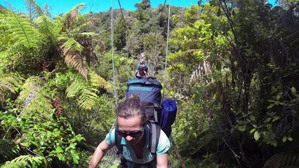 New Zealand - Abel Tasman - Christmas Time