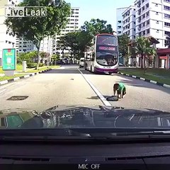 School kid darts into traffic and gets hit by a car