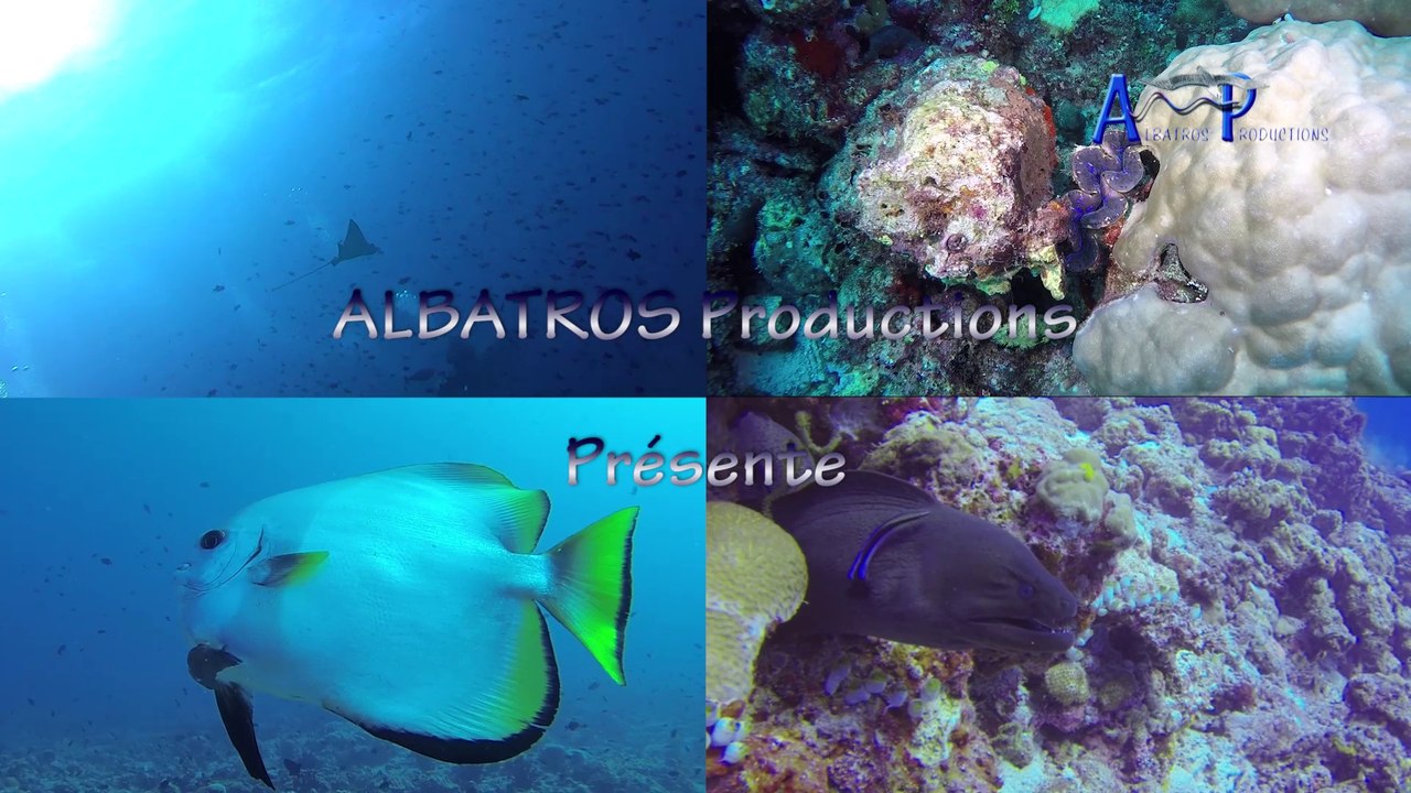 Croisière Maldives - 2016 - Jour 6-10