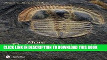 [PDF] More Paleozoic Fossils Full Collection