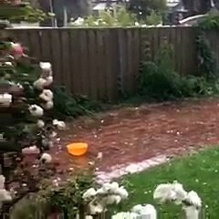 Град в Австралии