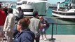 Park It Anywhere... Whale Watching Boat Crashing Into San Diego Dock