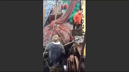 VIDEO / Des pêcheurs russes font une prise de poids !