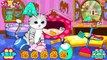 Animals Games » Cats and Dogs Grooming Salon