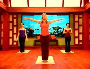 Дениз Остин. Йога. Контроль веса