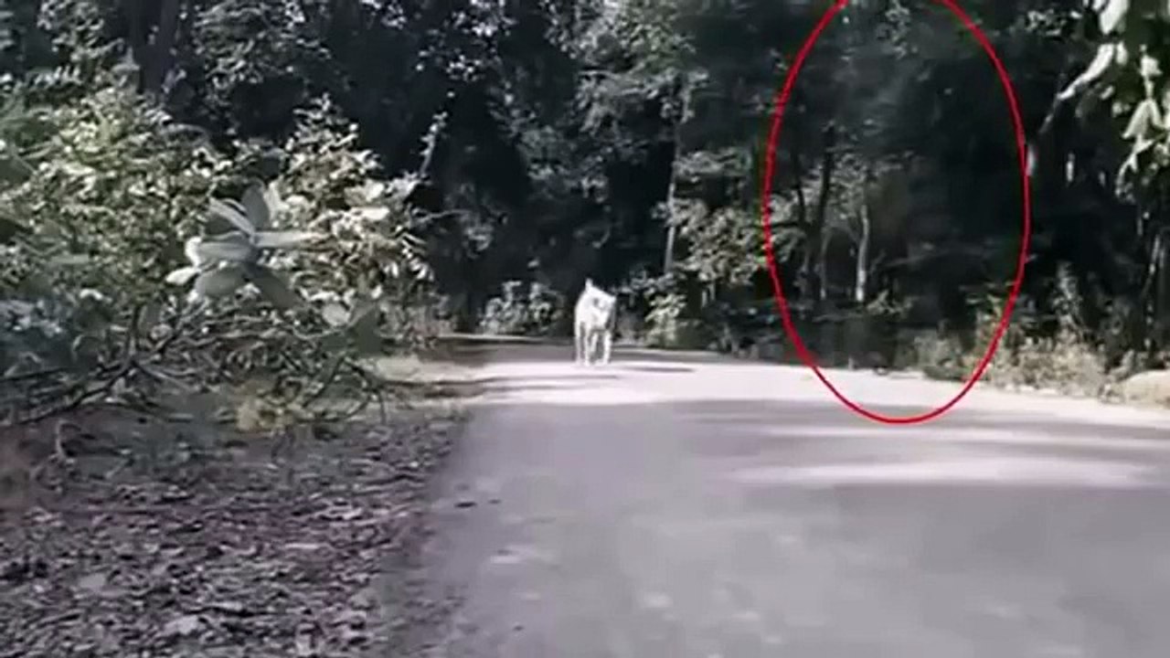 Phenomene etrange dans le monde 2016 #8