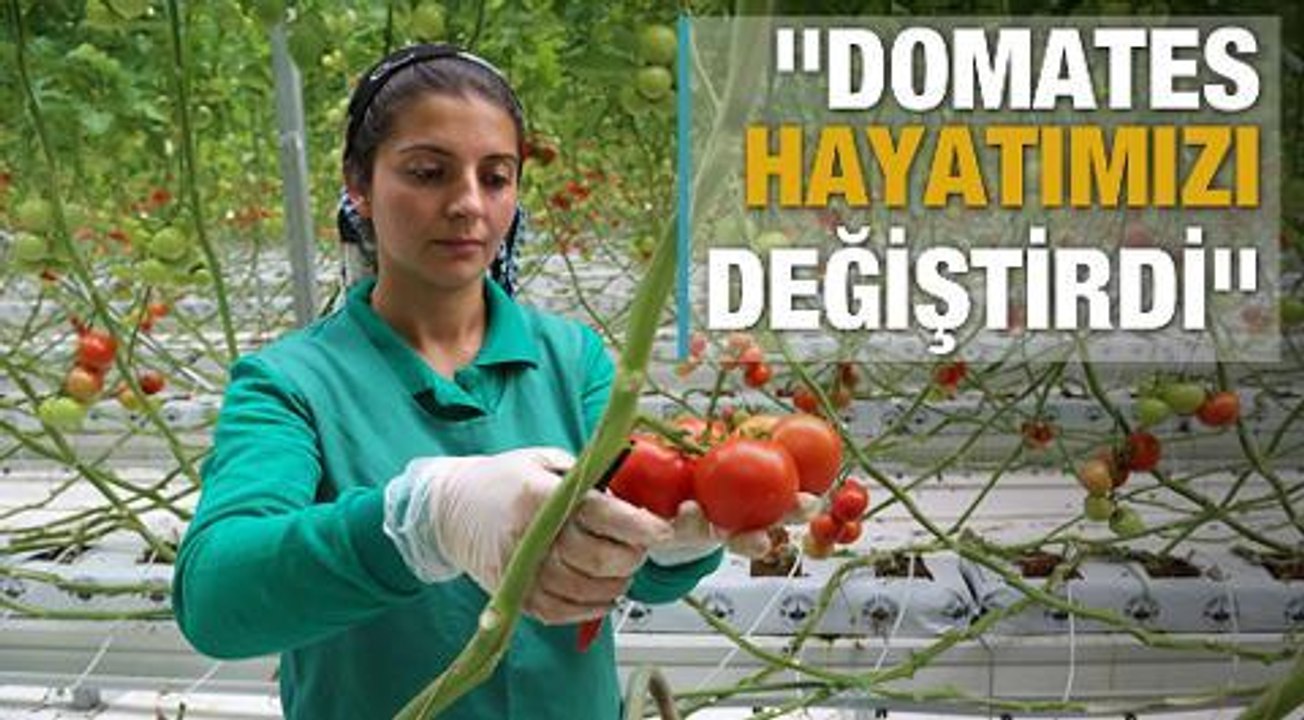 'Domates hayatımızı değiştirdi'